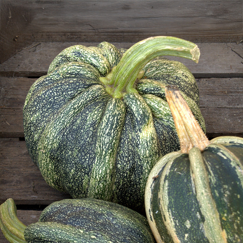 Qiz uchun DIY orgazm Ajoyib cunnilingus porno video