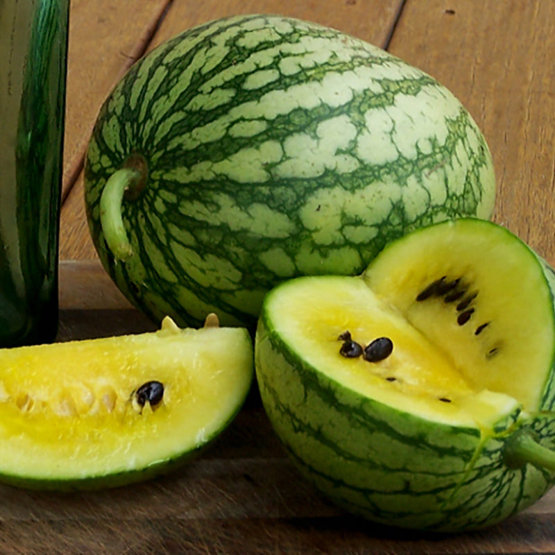 Wassermelone Petite Yellow Citrullus Lanatus Jansen Samen wassermelone-petite-yellow-citrullus-lanatus-jansen-samen