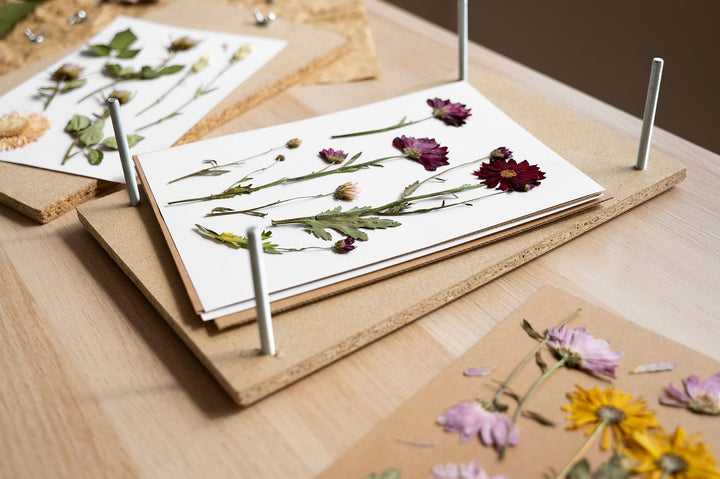 Hoe maak je zelf een bloemenpers? Stapsgewijze handleiding en tips!
