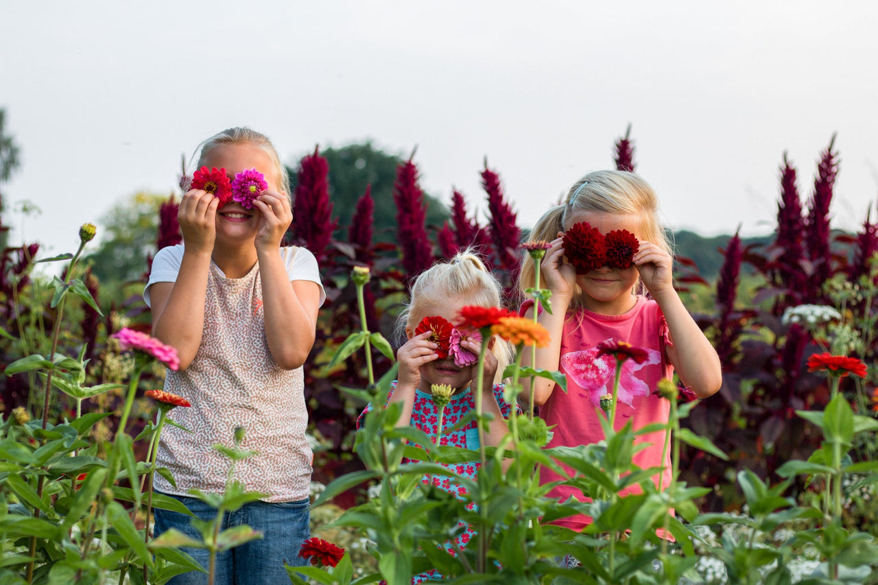 Juffertje in het groen