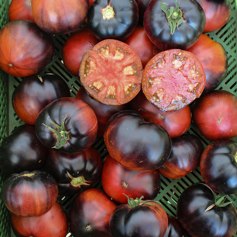 Fleischtomate - Black Beauty