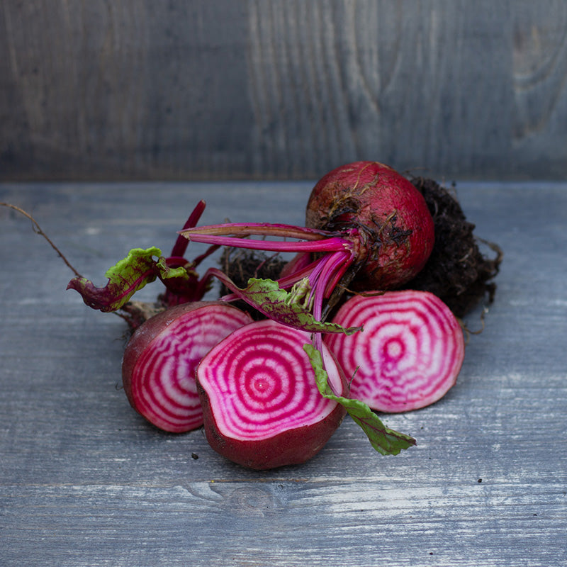 Rote Bete - Chioggia