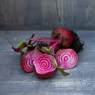 Rote Bete - Chioggia