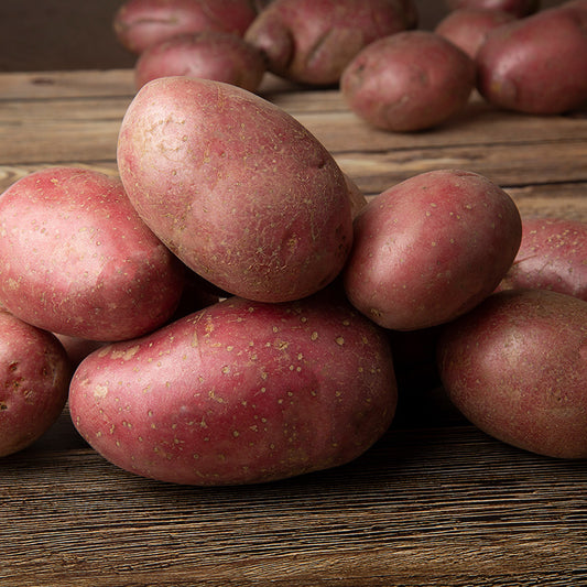 Pootaardappel Dunastar