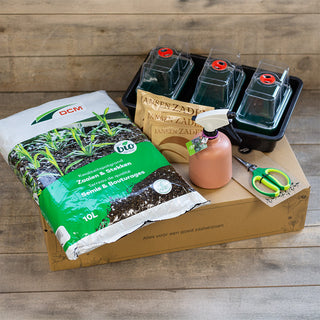 Starterpaket - Mikrogemüse