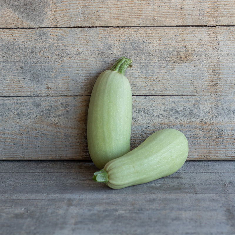 Courgette - Lungo bianco