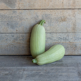 Courgette - Lungo bianco