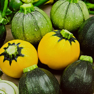 Bolcourgette mix