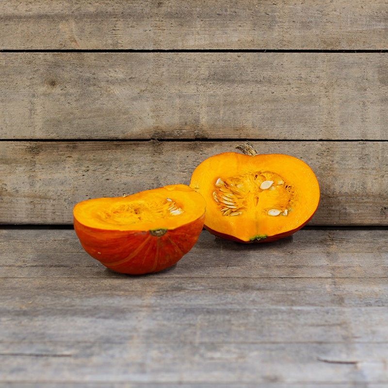 Hokkaido Kürbis - Caldor F1