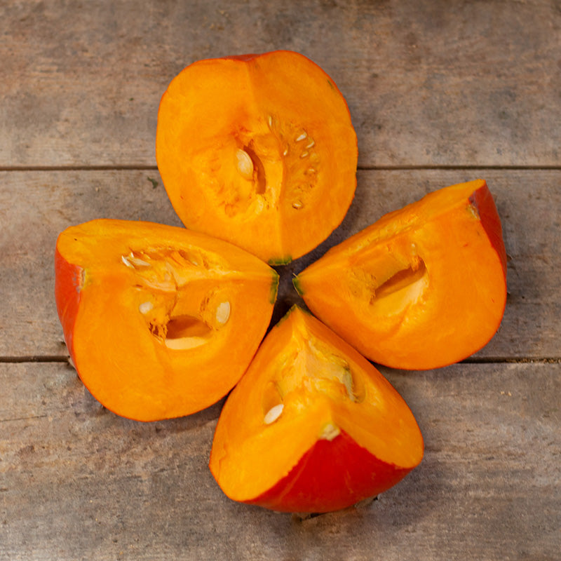 Speisekürbis - Cupido F1