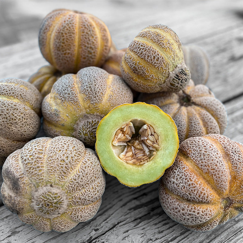 Melone - Jenny Lind