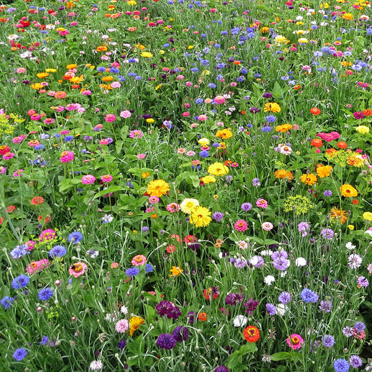 Bloemenmengsel La Dolce Flora