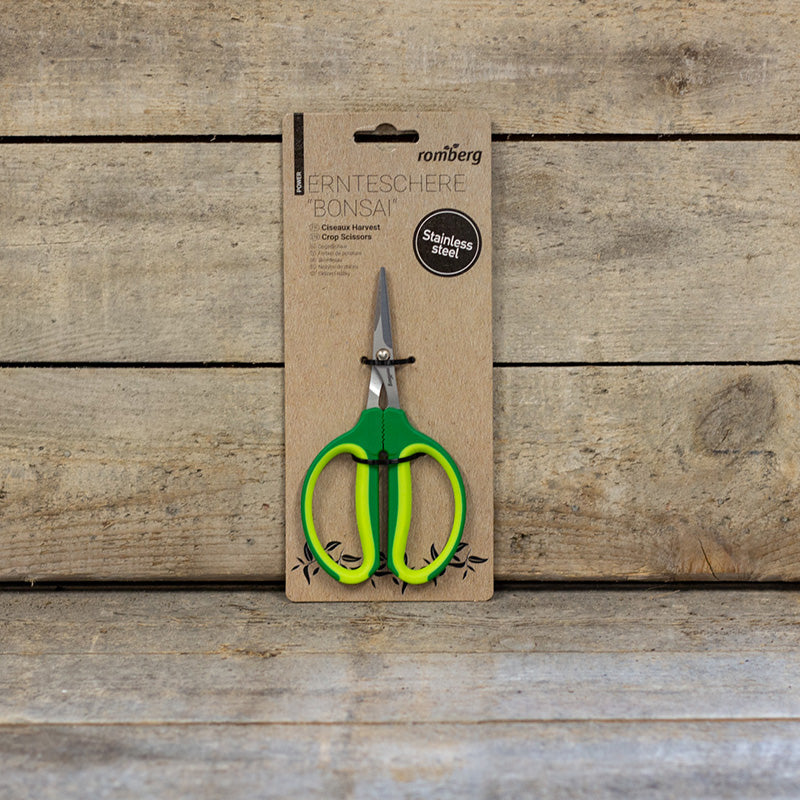 Oogstschaartje Bonsai Romberg