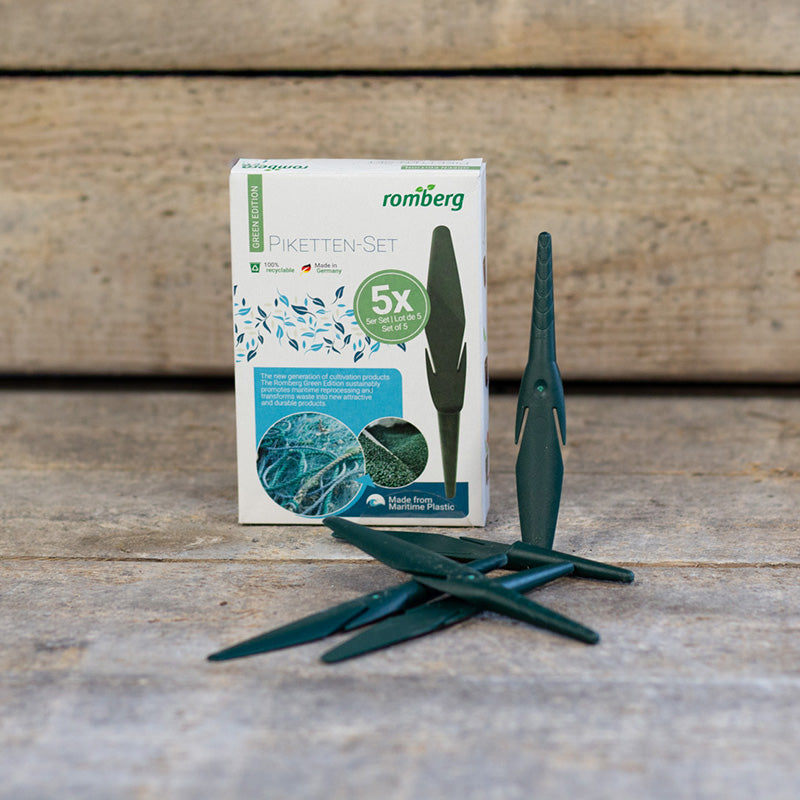 Pikettenset - Green Edition - Romberg