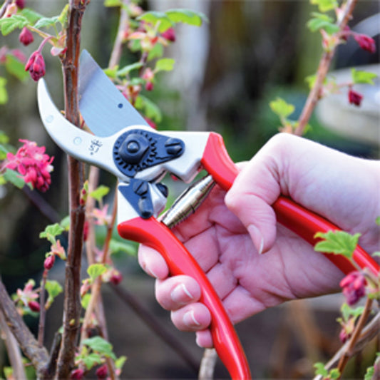 PRO Bypass Gartenschere - Spear & Jackson