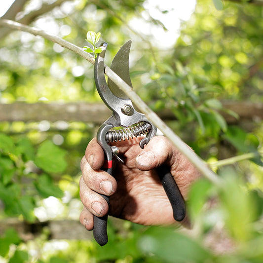 Vintage - Bypass snoeischaar - Spear & Jackson