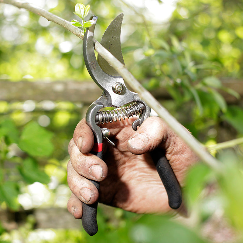 Spear & Jackson Bypass-snoeischaar