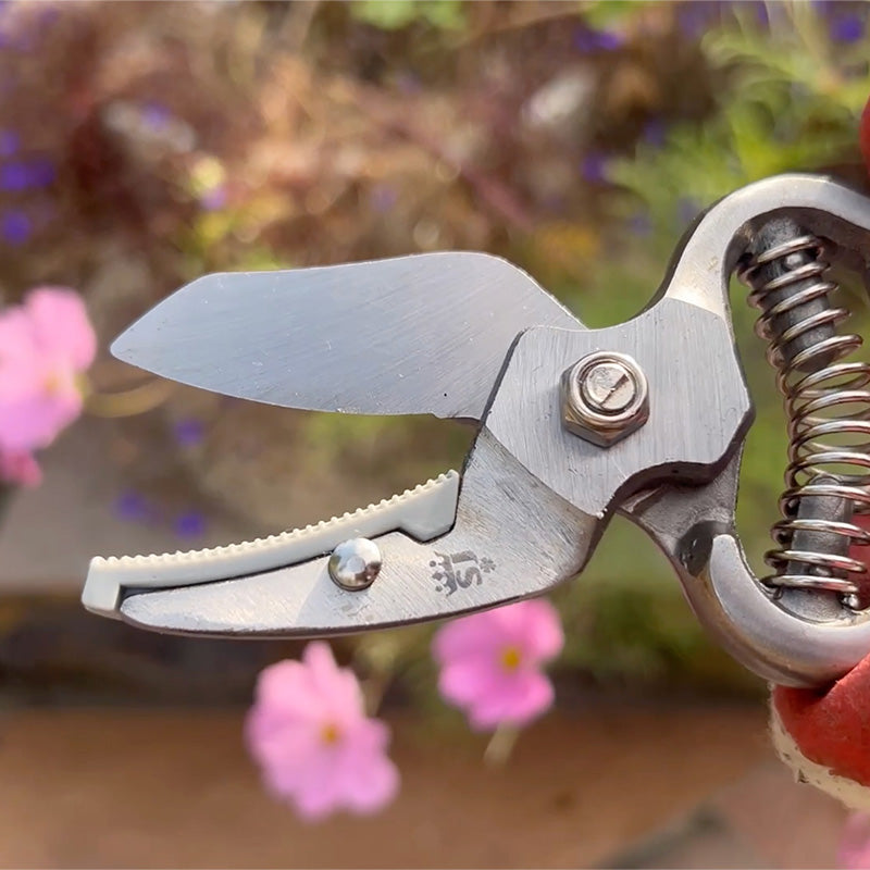 Spear & Jackson aambeeldsnoeischaar