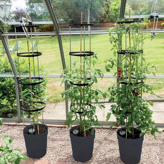 Tomaten kweektoren - Garland Products