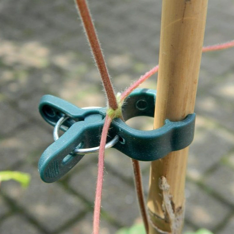 Planten clip Garland Products