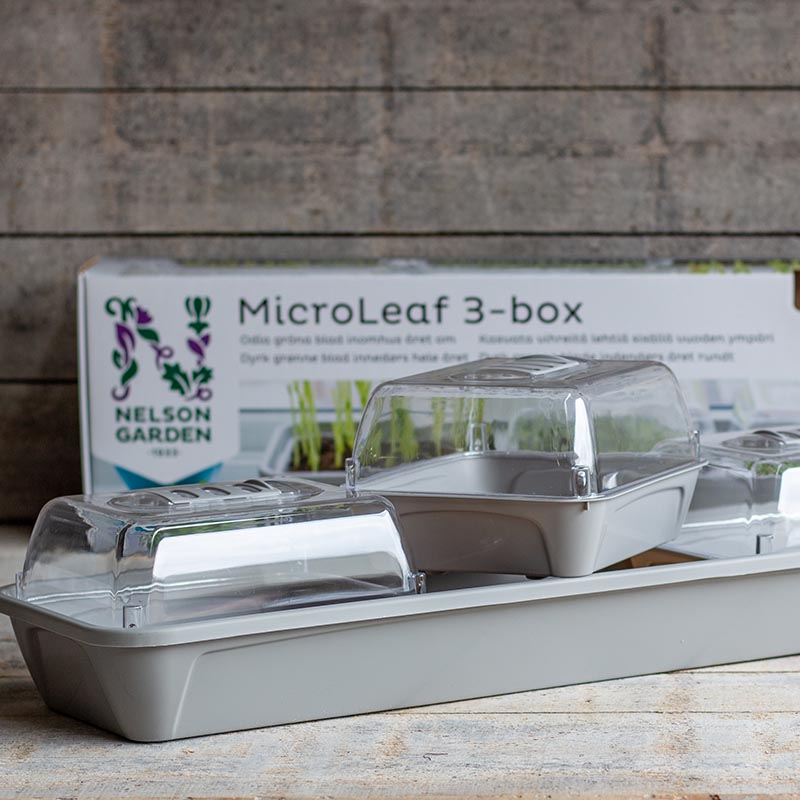 Nelson Garden - Micro Leaf 3 - Box