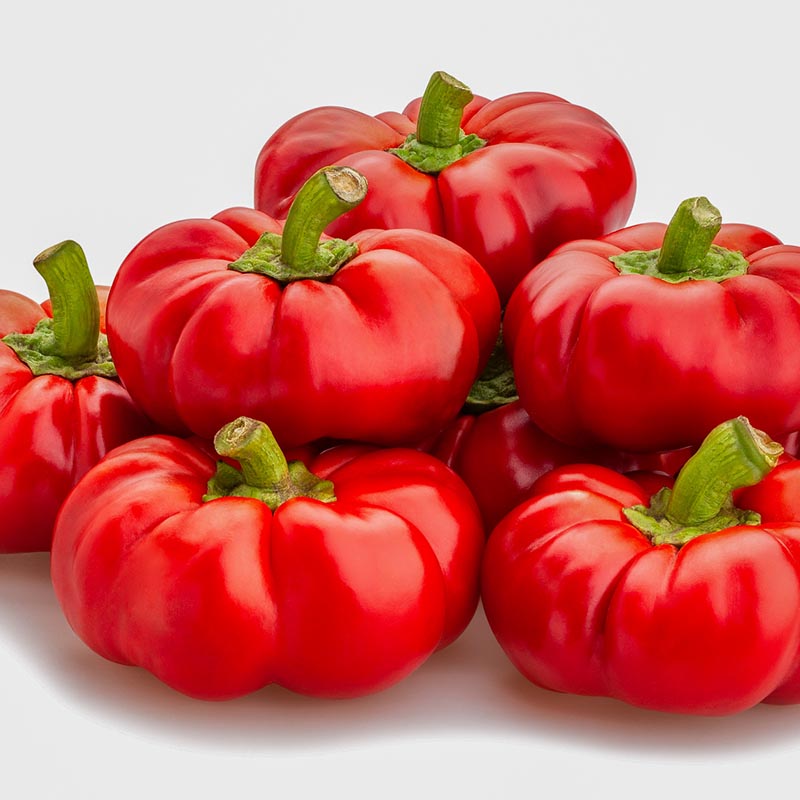 Capsicum frutescens - Tomatenpaprika - Topepo Rosso